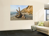 Aquinnah  Gay Head  Martha's Vineyard  Massachusetts  USA