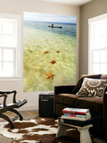 Sea Stars in Tropical Water at Star Beach