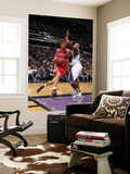 Houston Rockets v Sacramento Kings: Brad Miller and Carl Landry