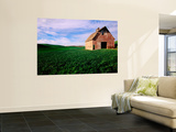 Red Barn in Field