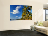 Palm Trees on Palm Cove Beach