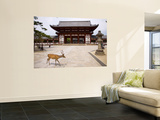 Deer Strolling Past Entrance Gate to Todai-Ji (Temple)