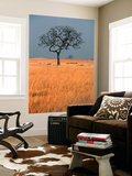Lone Tree in Grassland