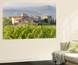 Vineyard and Village  Volpaia  Tuscany  Italy