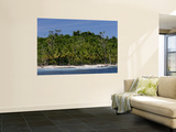 Heavily Palm-Tree Forested Mentawai Islands  Indonesia