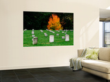 Graves of Union Soldiers at Fredericksburg National Cemetery