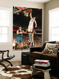 Minnesota Timberwolves v Phoenix Suns: Hedo Turkoglu
