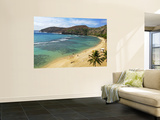 Hanauma Bay Nature Preserve