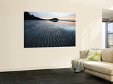 Cape Tribulation at Dawn