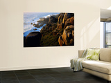 West Coast Coastline