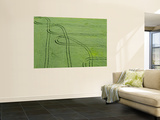 Aerial View of Tractor Patterns in Field