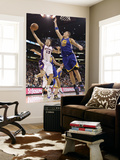 Golden State Warriors v Phoenix Suns  Phoenix  AZ - February 10: Steve Nash and Andris Biedrins