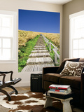 Wooden Walkway Cutting Through Fields of Tall Bamboo Grass