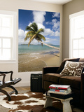 Coconut Grove Beach at Cades Bay  with St Kitts on Horizon