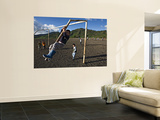 Boy Climbing Goal Post  with Corn Fields on Slopes of Acatenango Volcano in Background