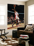 Chicago Bulls v Toronto Raptors: Leandro Barbosa and Taj Gibson