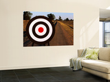 Archery Target on Country Road