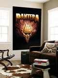 Pantera