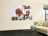 Flowerboxes on Walls