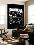 Pantera