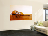 3/4 Size Double Bass