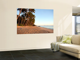 Dawn on Ellis Beach  Near Palm Cove