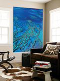 Aerial of Hardy Reef Offshore from Whitsundays Islands