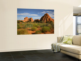 Desert Landscape and Rock Formations of Navajo Sandstone Near Devils Garden Trail