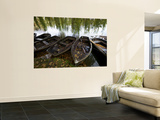 Row Boats Moored at Lakeside at Hever Castle