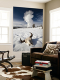 Buffalo Skull and Old Faithful Geyser