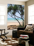 Vestey's Beach Through Pandanus Palms