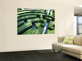 Man Lost in Maze in Gardens of Villa Pisani Near Stra