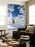 Snowboarder Going Through Trees in Powder Snow at Hoodoo Ski Resort