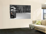 Public Telephone Box in Park  Covered in Snow  Ottowa-Cho