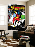 Spider-Woman 1 Cover: Spider Woman
