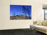 Stems of Agave Plants with Talayon De La Cogolla Mountain Beyond
