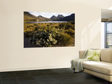 Dove Lake and Cradle Mountain