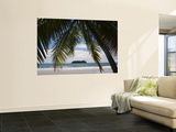 Palm Tree on Beach