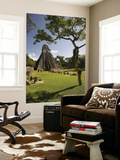 The Great Plaza at Tikal Archeological Site