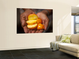 Caju or Cashew Fruit