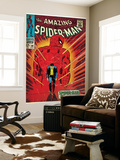 Marvel Comics Retro: The Amazing Spider-Man Comic Book Cover 50  Spider-Man No More! (aged)