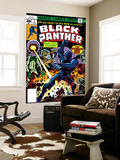 Black Panther 2 Cover: Black Panther  Princess Zanda and Hatch-22 Charging