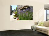 Butterflies on Lavender Bush by Main Square