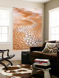 Dry Cracked Earth