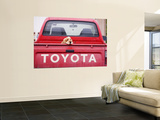 Dog Waiting on Back of Ute