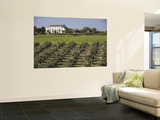 Cortijo "La Cerca"  Andalusian Traditional Country House Inside Giribaile Reservoir