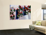 Green and White Plantpots Containing Red Geraniums