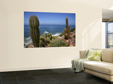 Cacti in Gardens of Fellowship of Self Realization with Pacific Ocean Beyond