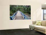 Wooden Swing Bridge at Dray Sap Waterfall