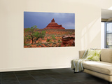 Lone Tree with Rock Formations in Desert Landscape with Storm Clouds in Valley of the Gods